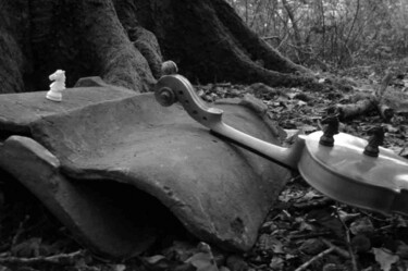Photographie intitulée "Horse snake fiddle…" par Rob Arbouw, Œuvre d'art originale