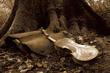 "Fiddle-courgette-tr…" başlıklı Fotoğraf Rob Arbouw tarafından, Orijinal sanat