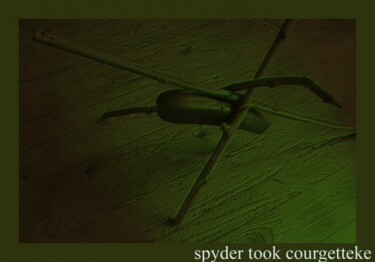 Photography titled "Spider took courget…" by Rob Arbouw, Original Artwork