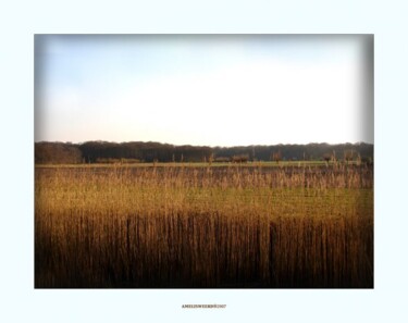 Photography titled "Amelisweerd E" by Rob Arbouw, Original Artwork