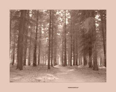 Photography titled "Venwoude C" by Rob Arbouw, Original Artwork