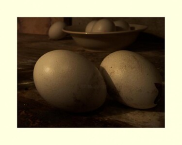 Photographie intitulée "Eggs and offspring" par Rob Arbouw, Œuvre d'art originale