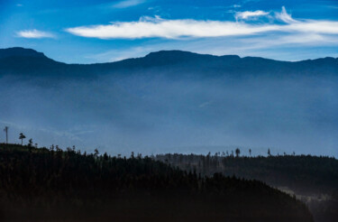 Fotografia zatytułowany „Hidden in the Mist” autorstwa Robbi Ling Montgomery, Oryginalna praca, Fotografia cyfrowa