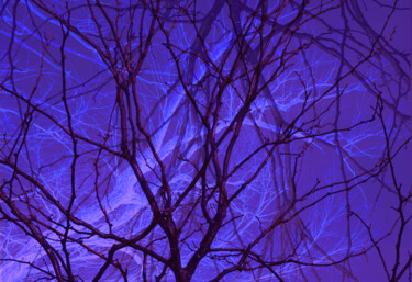 Digital Arts titled "Cold Winter Night" by Robbi Ling Montgomery, Original Artwork, 2D Digital Work