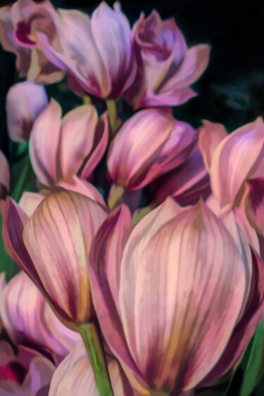 Фотография под названием "Pink Orchids" - Robbi Ling Montgomery, Подлинное произведение искусства