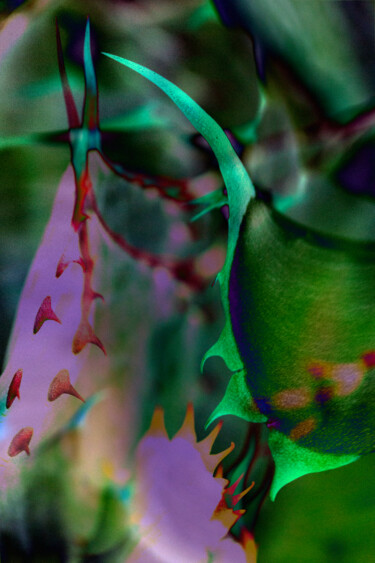 Arts numériques intitulée "Thorns in Color" par Robbi Ling Montgomery, Œuvre d'art originale, Travail numérique 2D