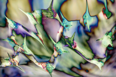 Arts numériques intitulée "Pastel Thorns" par Robbi Ling Montgomery, Œuvre d'art originale, Travail numérique 2D