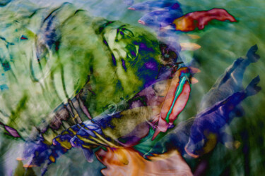 Digitale Kunst mit dem Titel "Colorful Carp" von Robbi Ling Montgomery, Original-Kunstwerk, 2D digitale Arbeit