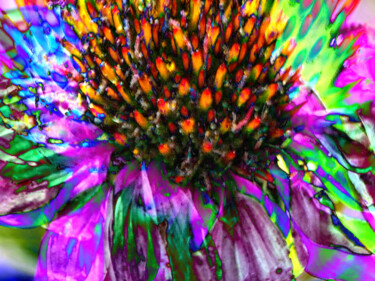 Digital Arts titled "Coneflower Burst" by Robbi Ling Montgomery, Original Artwork, 2D Digital Work