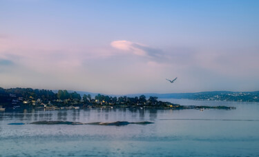 Photographie intitulée "Oslo Morning" par Robbi Ling Montgomery, Œuvre d'art originale