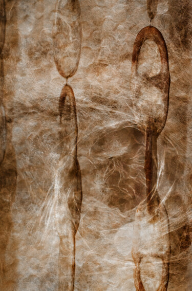 Arts numériques intitulée "Silken Chains" par Robbi Ling Montgomery, Œuvre d'art originale, Travail numérique 2D