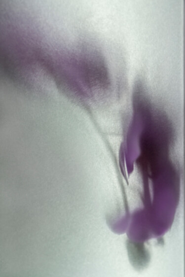 Photography titled "Orchid Under Glass" by Robbi Ling Montgomery, Original Artwork, Digital Photography
