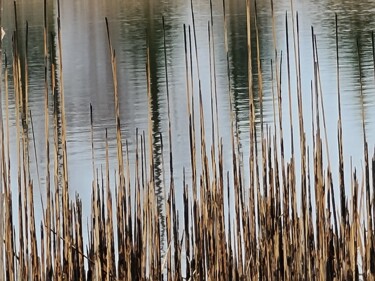 Photography titled "Cattail Endings" by Robbi Ling Montgomery, Original Artwork, Digital Photography