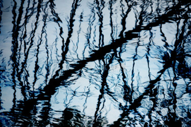 Arts numériques intitulée "The Woods Reflected" par Robbi Ling Montgomery, Œuvre d'art originale, Travail numérique 2D