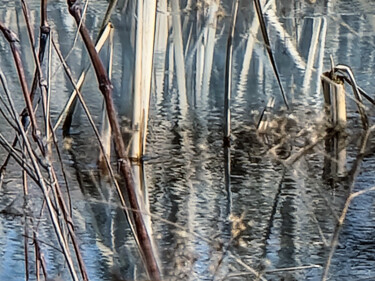 Photography titled "Wetland Reflection" by Robbi Ling Montgomery, Original Artwork, Digital Photography