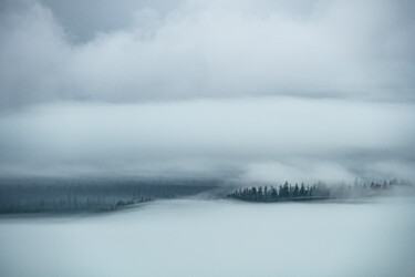 Fotografia intitulada "From the Mist" por Robbi Ling Montgomery, Obras de arte originais, Fotografia digital