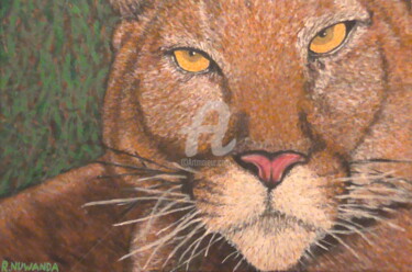 Painting titled "Florida Panther" by Robbie Nuwanda, Original Artwork, Acrylic