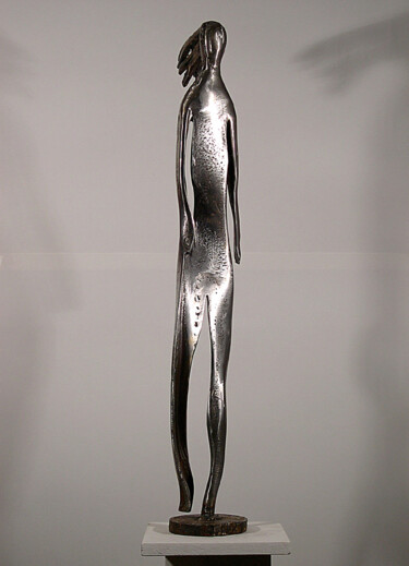 Sculpture intitulée "Femme dans le vent" par Robert Chevalier, Œuvre d'art originale, Métaux