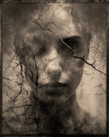 数字艺术 标题为“Twilight's Embrace” 由Robert D Atkinson, 原创艺术品, AI生成的图像