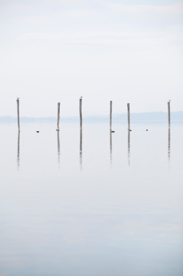 Photographie intitulée "Poles at the Trauns…" par Robert Kohlhuber, Œuvre d'art originale, Photographie numérique