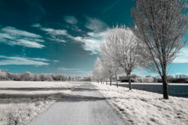 Photographie intitulée "White lands" par Robert Kohlhuber, Œuvre d'art originale, Photographie numérique