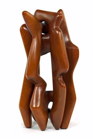 Sculpture intitulée "Inter Related" par Robert Winslow, Œuvre d'art originale, Bois