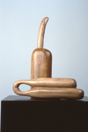 Rzeźba zatytułowany „+,-” autorstwa Robert Winslow, Oryginalna praca, Drewno