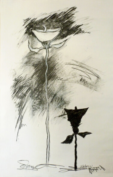 Disegno intitolato "Floral Study" da Robert Winslow, Opera d'arte originale, Grafite
