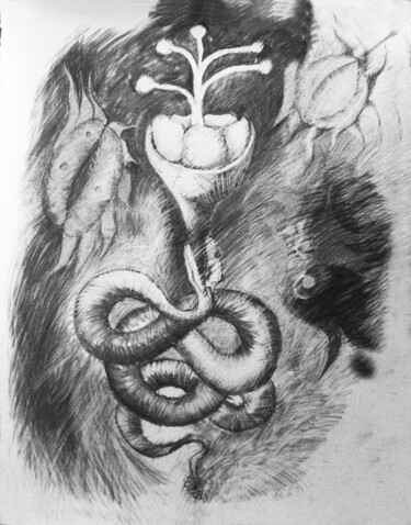 Drawing titled "Serpent Flower" by Robert Winslow, Original Artwork, Graphite