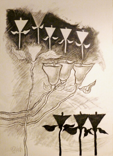 Tekening getiteld "floral study 4" door Robert Winslow, Origineel Kunstwerk, Grafiet