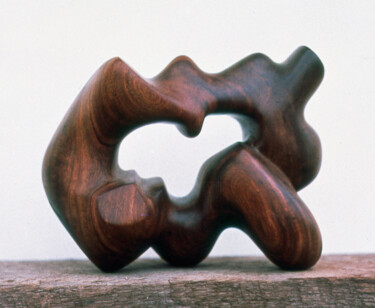 Sculptuur getiteld ""model"" door Robert Winslow, Origineel Kunstwerk, Hout