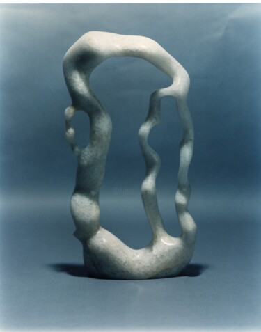 Скульптура под названием "willow Form" - Robert Winslow, Подлинное произведение искусства, Камень