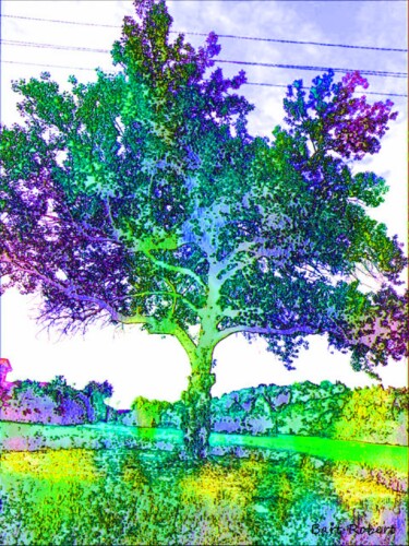 Digital Arts titled "Albero della vita" by Roberto Bartoccini, Original Artwork, Digital Painting