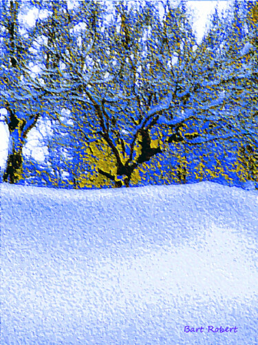 Arte digitale intitolato "Première neige" da Roberto Bartoccini, Opera d'arte originale, Pittura digitale