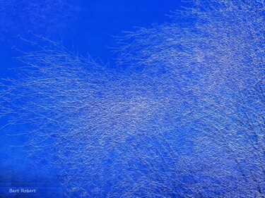Arte digitale intitolato "Rami invernali" da Roberto Bartoccini, Opera d'arte originale, Pittura digitale