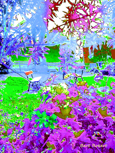 Digitale Kunst getiteld "Small garden" door Roberto Bartoccini, Origineel Kunstwerk, Digitaal Schilderwerk
