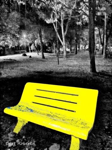 Fotografia intitolato "Notturno nel parco" da Roberto Bartoccini, Opera d'arte originale, Fotografia digitale