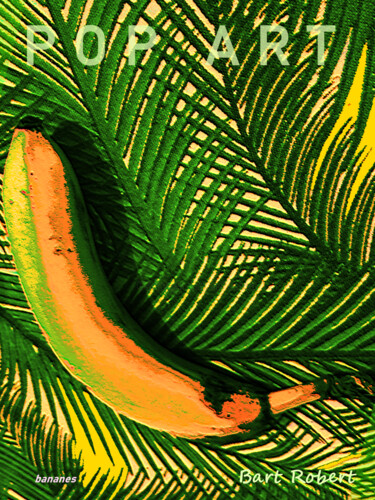 Digitale Kunst getiteld "Bananes" door Roberto Bartoccini, Origineel Kunstwerk, Digitaal Schilderwerk