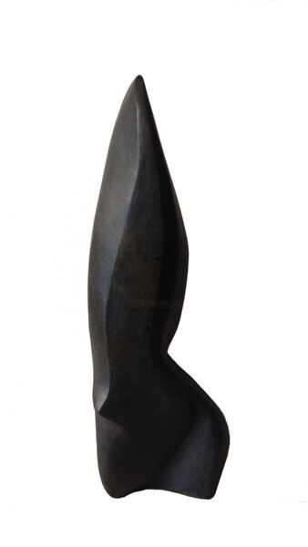 Sculptuur getiteld "ciprés negro" door Roberto García López, Origineel Kunstwerk, Steen