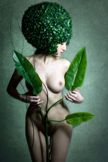摄影 标题为“The Plant” 由Roberto Manetta, 原创艺术品, 数码摄影