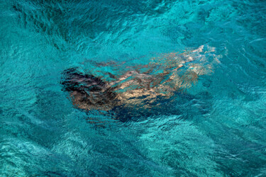 摄影 标题为“The Mermaid” 由Roberto Manetta, 原创艺术品, 数码摄影