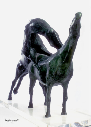 Sculpture intitulée "Monta" par Roberto Tagliazucchi, Œuvre d'art originale, Bronze