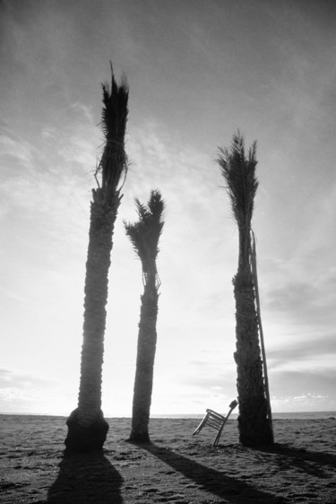 Fotografie getiteld "la sedia e la palma" door Roberto Ferrero, Origineel Kunstwerk, Film fotografie