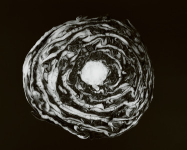 Photographie intitulée "radicchio" par Roberto Ferrero, Œuvre d'art originale, Photographie numérique