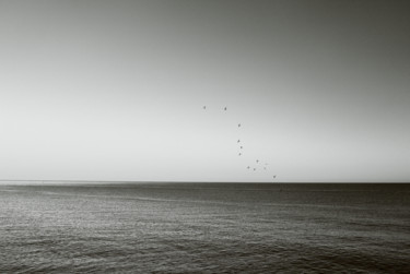 Fotografia intitolato "rondine sul mare" da Roberto Ferrero, Opera d'arte originale, Fotografia digitale