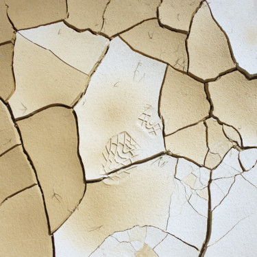 Fotografia intitolato "terra di fango" da Roberto Ferrero, Opera d'arte originale, Fotografia digitale