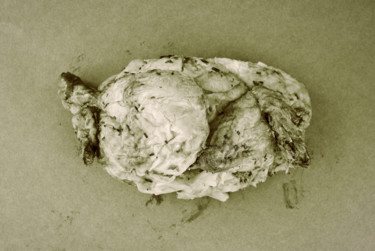 Photographie intitulée "pollo arrosto" par Roberto Ferrero, Œuvre d'art originale, Photographie numérique