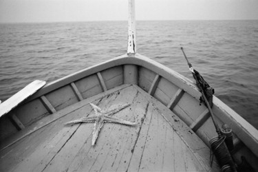 Fotografia intitolato "stella marina" da Roberto Ferrero, Opera d'arte originale, fotografia a pellicola