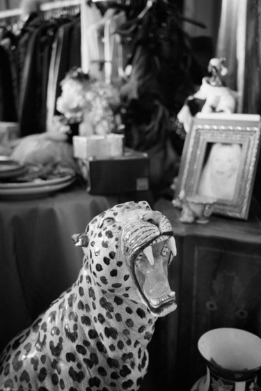 Fotografia intitulada "leopardo vintage" por Roberto Ferrero, Obras de arte originais, Fotografia de filme