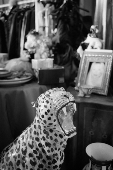 leopardo vintage Photographie intitulée "leopardo vintage" par Roberto Ferrero, Œuvre d'art originale, Photographie argentique